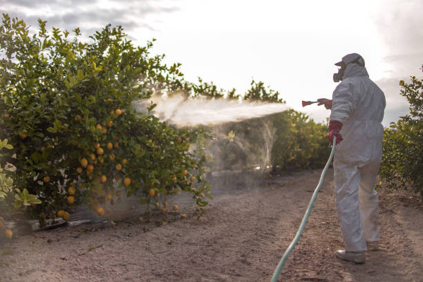 Irvine, KY Pest Control Company